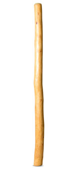 Natural Finish Didgeridoo (TW1440)